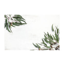 Gum Leaf Florist Card x 50