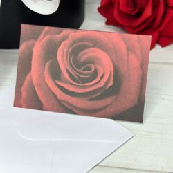 Cards & Envelopes