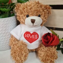 Soft Toys