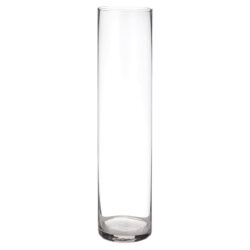 Cylinder Bud Glass Vase - 6cm x 25cm
