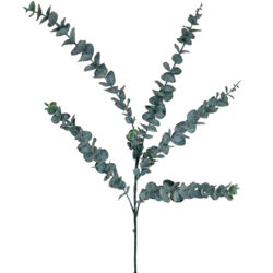 R/Touch Eucalyptus Spray - 85cm