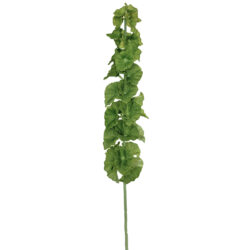 Bells of Ireland Spray - 65cm / Green