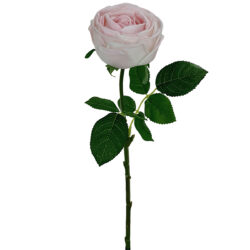 Real Touch Austin Artificial Rose - 43cmL / Light Pink
