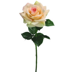 Emma Real Touch Rose - 70cmL / Cream/Pink