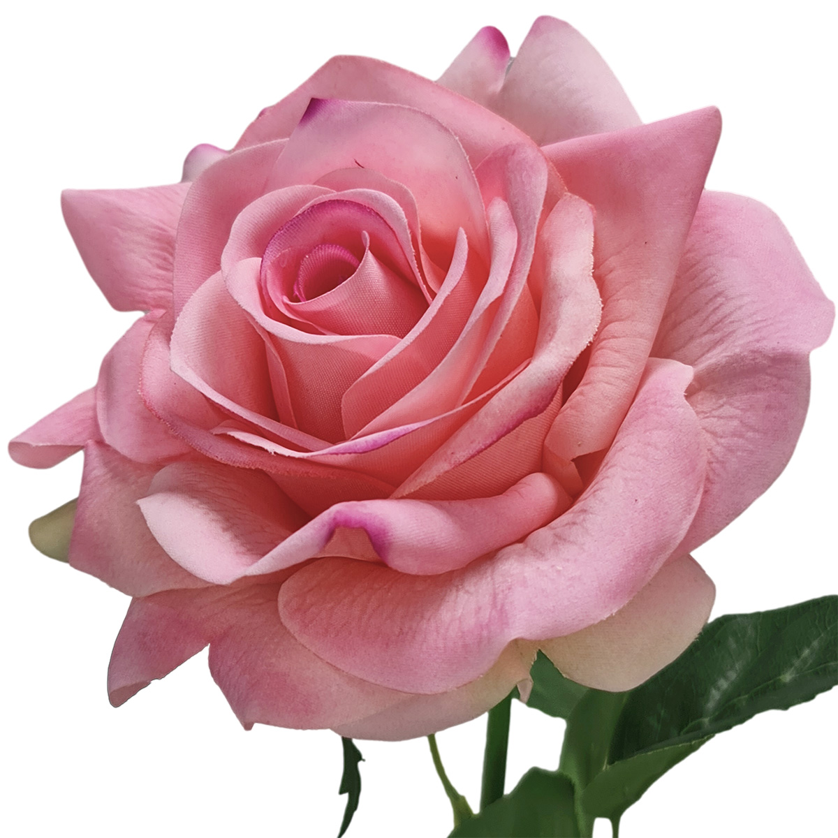 Emma Real Touch Artificial Rose - 70cmL / Pink - Image 2