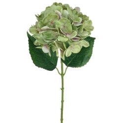 Seasons Hydrangea - 65cmL / Green