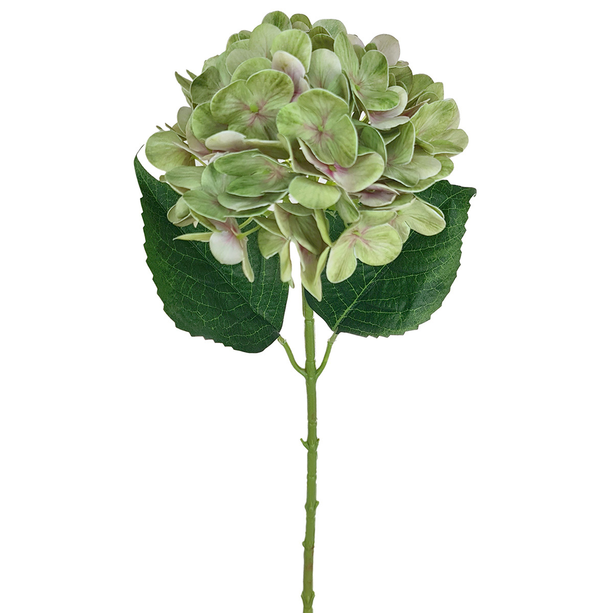 Seasons Hydrangea - 65cmL / Green
