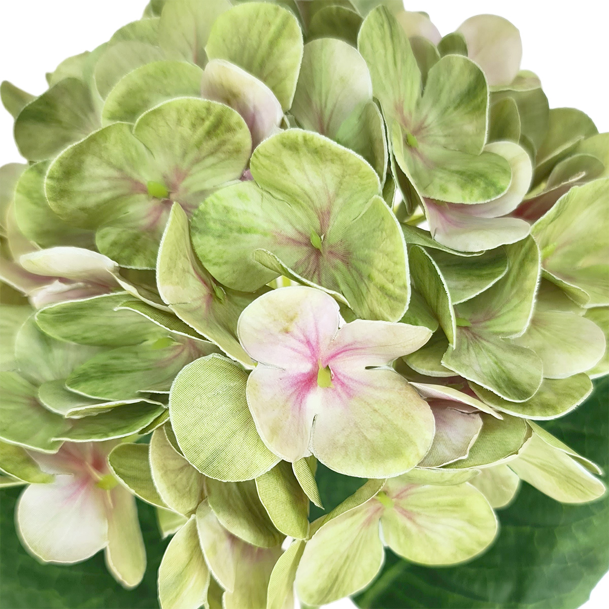 Seasons Hydrangea - 65cmL / Green - Image 2