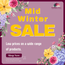 Mid Winter Sale