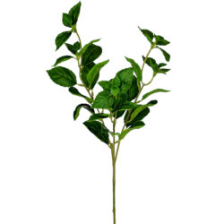 Green Leaf Spray - 55cmL