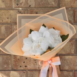 Frosted Border Poly Cello Wrap / Peach