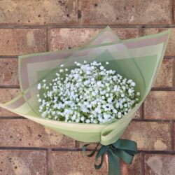 Frosted Border Poly Cello Wrap / Sage