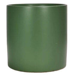 Lg Verona Cylinder Ceramic Vase - 15.5cmD x 15.5cmH / Satin Matte Fern