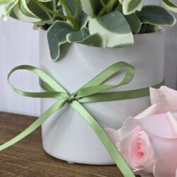 Double Face Satin Ribbon 6mm x 25m / Sage