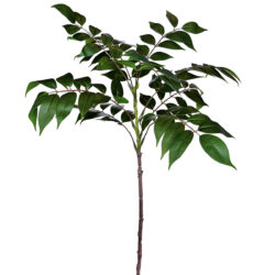 Logan Leaf Spray - 70cmL