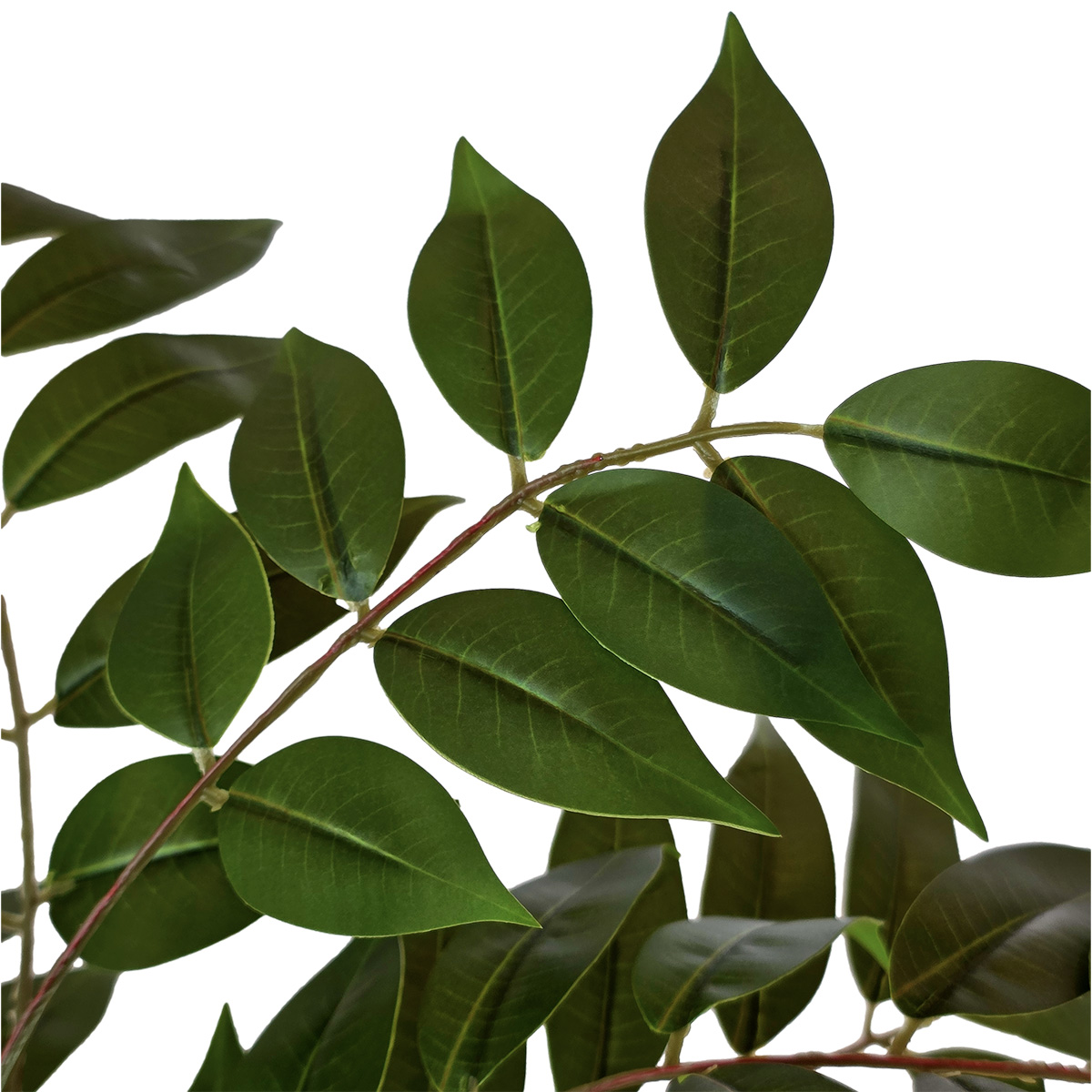 Logan Leaf Spray - 70cmL - Image 2