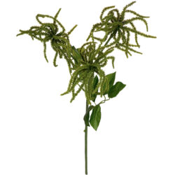 Hanging Amaranthus Spray - 130cm / Green