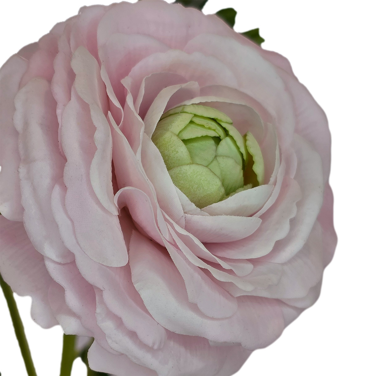 Real Touch Isla Ranunculus Spray - 48cm / Lt Pink - Image 2