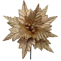 Prancer Poinsettia - 60cmL / Champagne