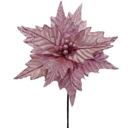 Prancer Poinsettia - 60cmL / Pink