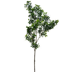 Mini Leaf Branch Spray - 72cmL / Green