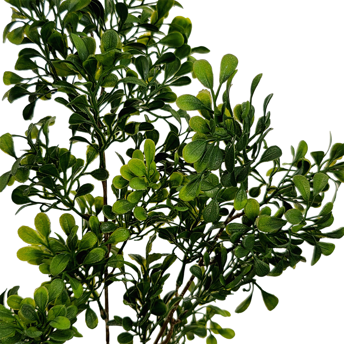 Mini Leaf Branch Spray - 72cmL / Green - Image 2