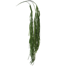 Hanging Amaranthus Spray - 130cm / Green