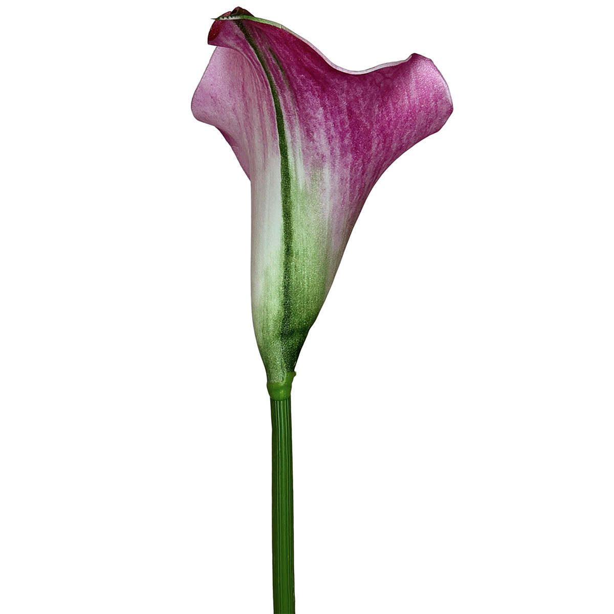 Calla Lily - 60cmL / Dk Pink - Image 2