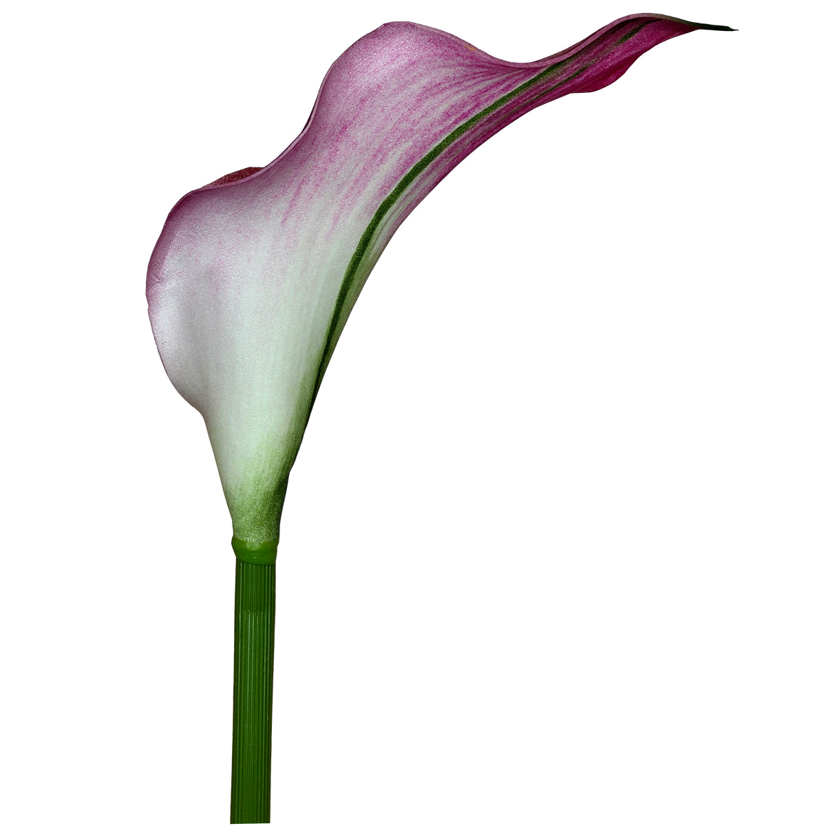 Calla Lily - 60cmL / Dk Pink - Image 3