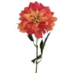 Della Dahlia - 60cmL / Orange