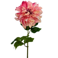 Della Dahlia 60cmL / Pink