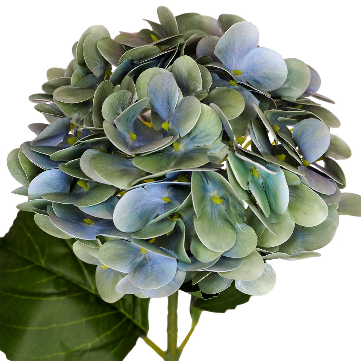 Seasons Hydrangea - 65cmL / Seafoam - Image 2