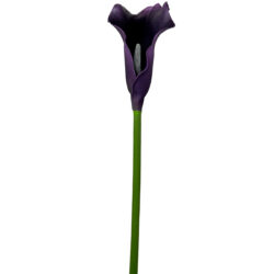 Calla Lily 60cmL / Aubergine