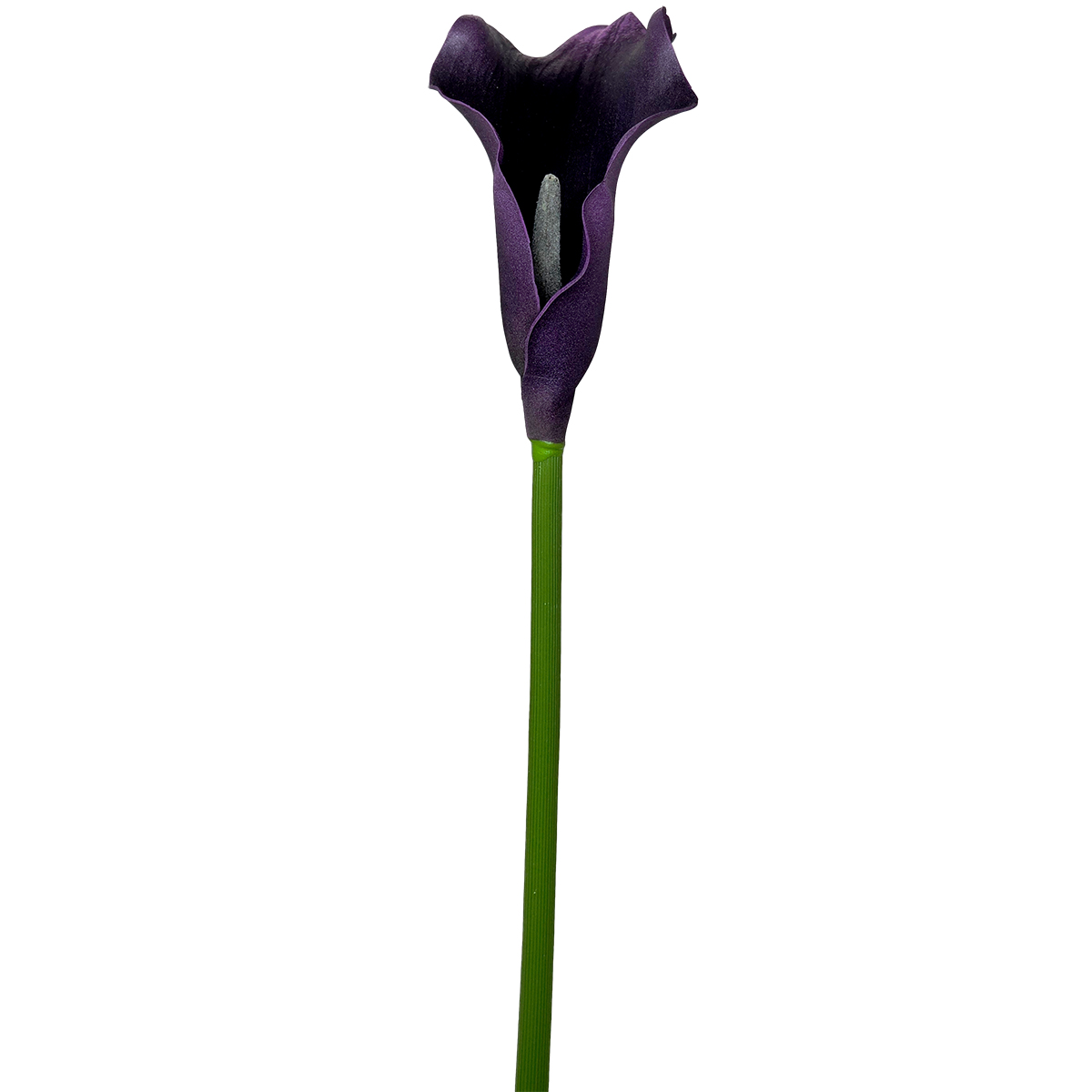Calla Lily 60cmL / Aubergine