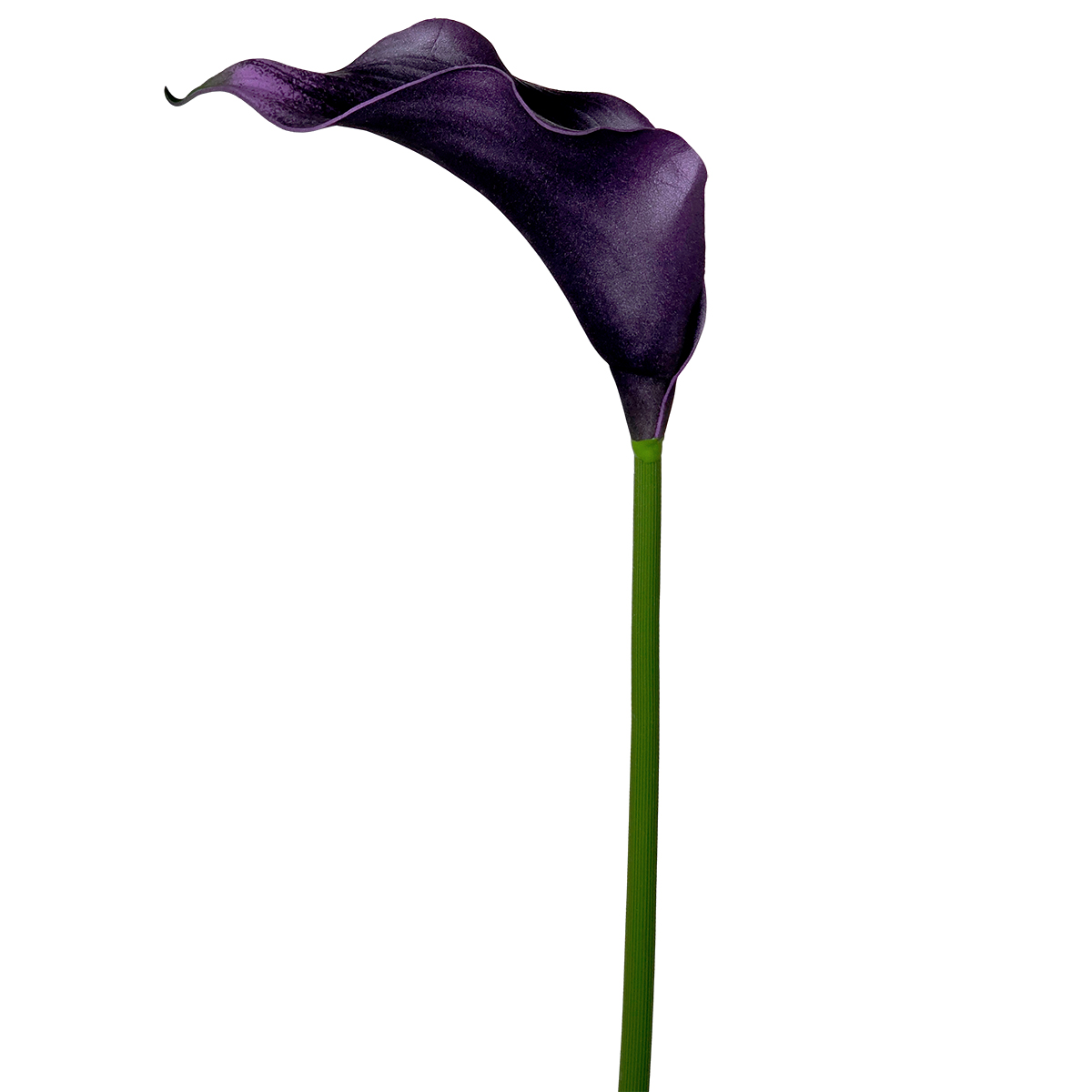 Calla Lily 60cmL / Aubergine - Image 2