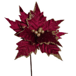 Prancer Poinsettia - 60cmL / Burgundy