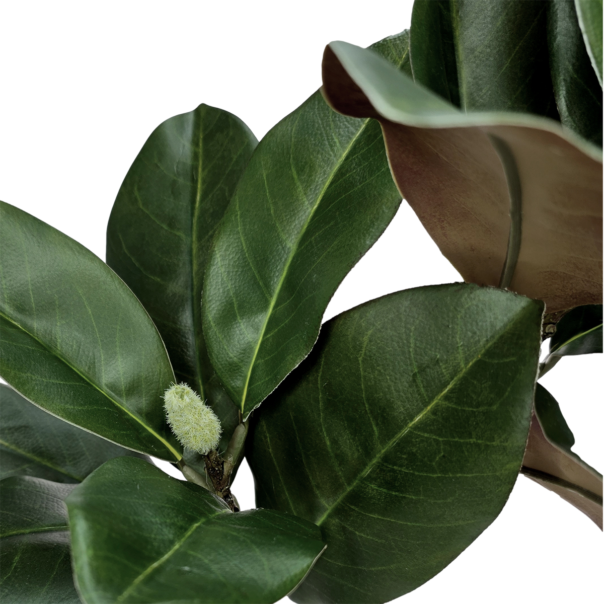 Lapas Magnolia Leaf Spray - 65cm - Image 2