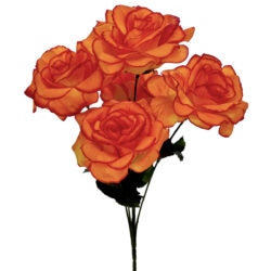 Vesela Rose Bush - 38cm / Orange
