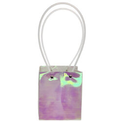 Square Laminated Paper Posy Bag - 13cm x 12.5cm x 15cmH / Iridescent