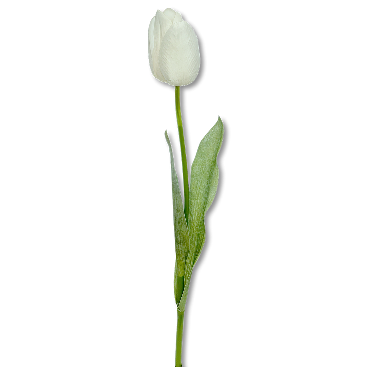 Artificial Tulip Stem - 49cmL / White
