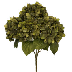 Hydrangea Bush - 40cmL / Green