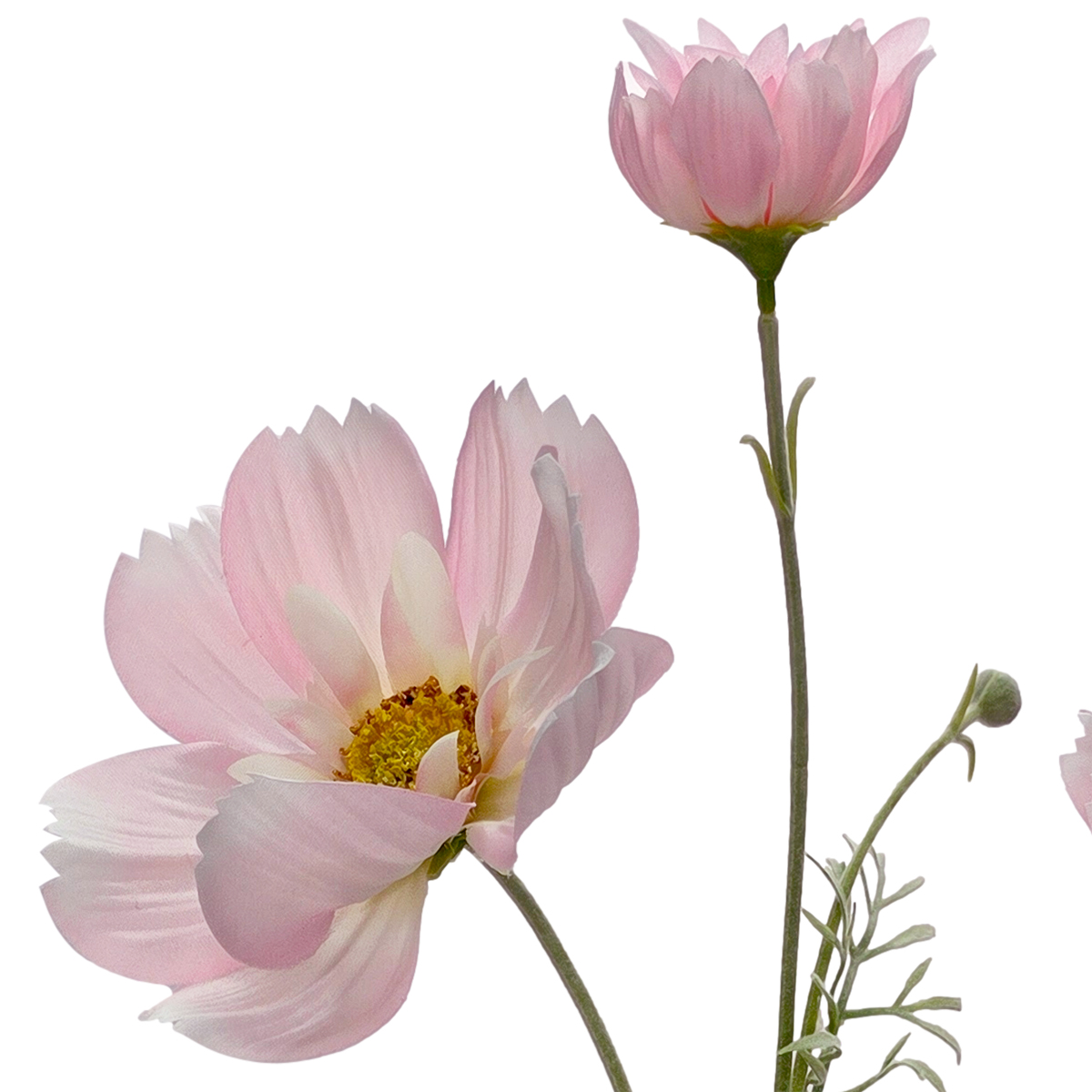 Olivia Cosmos Spray - 78cmL / Light Pink - Image 2