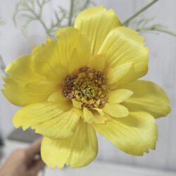 Olivia Cosmos Spray - 78cmL / Yellow