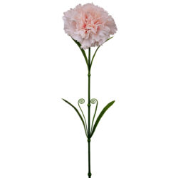Callie Carnation - 58cmL / Lt Pink