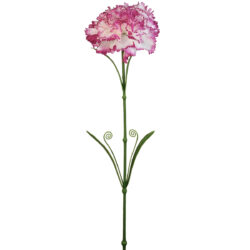 Callie Carnation - 58cmL / TT Pink