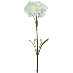 Callie Carnation - 58cmL / White