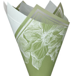 Frosted Floral Border Poly Wrap - 50x70cm x 100 sheets / Sage