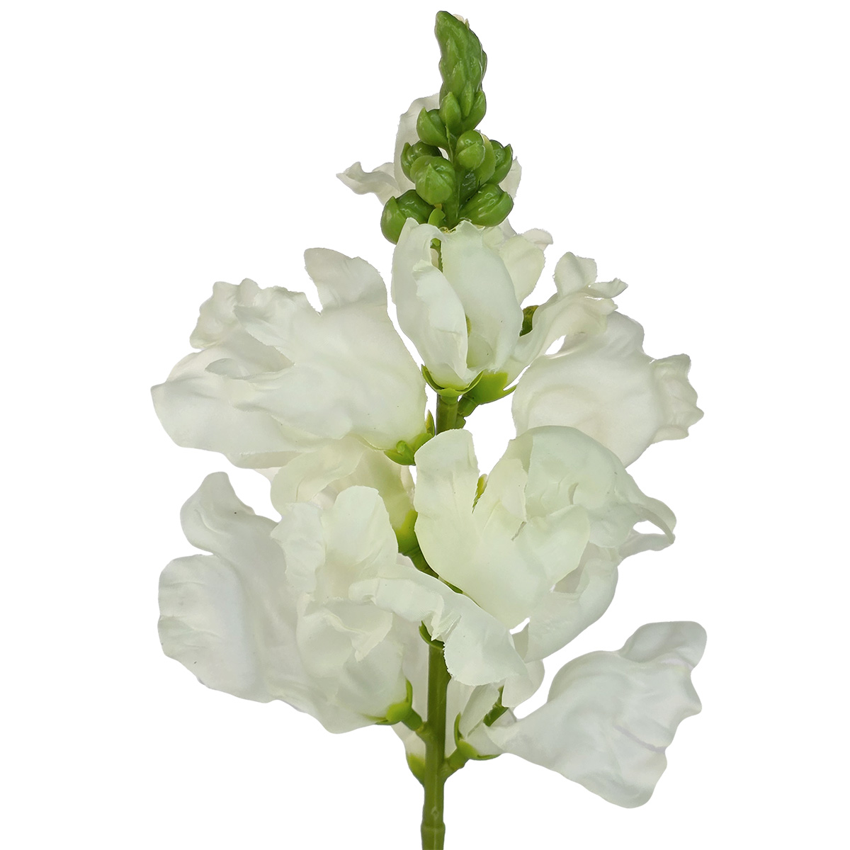Snap Dragon Flower Stem - 41cm / White - Image 2