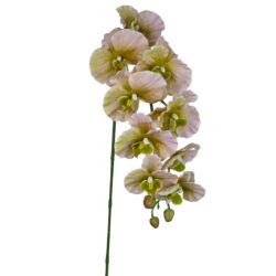 Leilani Phalaenopsis Orchid Spray 90cm light pink by Floral Craft