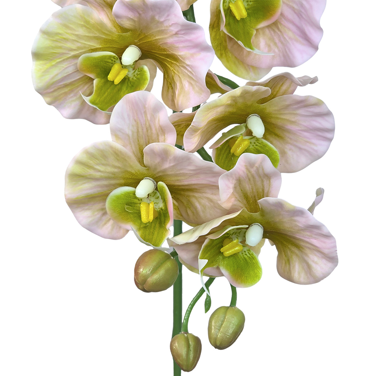 Leilani Phalaenopsis Orchid Spray - 90cmL / Lt Pink - Image 2